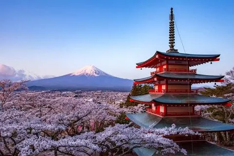 Templo Chureito y el monte Fuji al atardecer con cerezos en flor